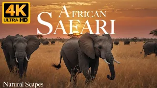 AFRICAN SAFARI 4k - Wildlife Natural Scapes Film With Calming Music.