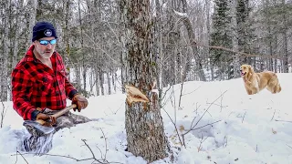 Living Off the Land, Self Reliance, Forest Garden