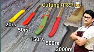 स्विट्जरलैंड के इस Knife से आप भी बन जाओगे कटिंग में मास्टर | Best Knife for Home | Honest Kitchen