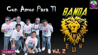 Banda Felina - Con Amor Para Ti Vol 2 - Tropicales Del Istmo