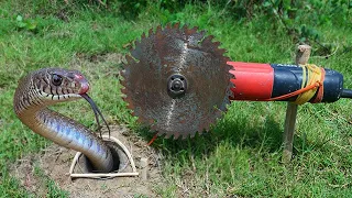 Easy Snake Trap Creative Method DIY Snake Trap Using ANNA GLOBE That Work 100