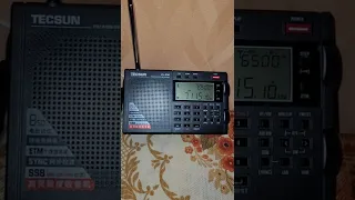 HanRongDa HRD-747 vs Tecsun pl330