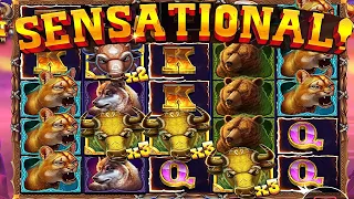 SENSATIONAL WIN on WILD BISON CHARGE (BONUS BUYS)