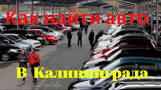 Как найти авто для Калининграда