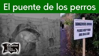 El misterio del puente de los perros  | Relatos del lado oscuro