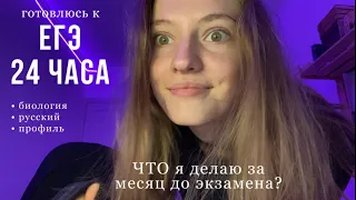 Готовлюсь к ЕГЭ 24 часа / биология, русский / дневник выпускницы / vlog