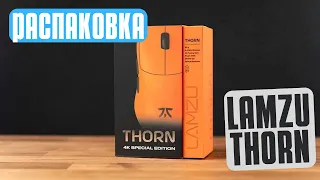 LAMZU THORN но ЛИМИТИРОВАННАЯ! Распаковка Lamzu Thorn Fnatic Limited Edition