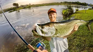 Freshwater Tarpon: When Preparation meets Opportunity