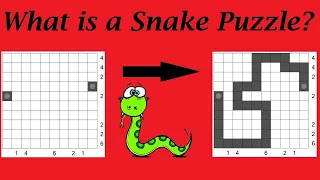 Solving a Snake Puzzle