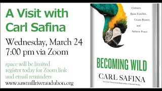 A Visit with Carl Safina on Becoming Wild.