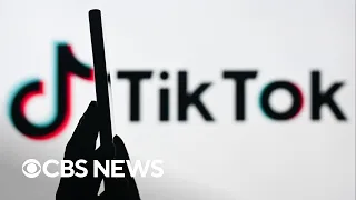 TikTok sues U.S. government over law that could lead to ban of app