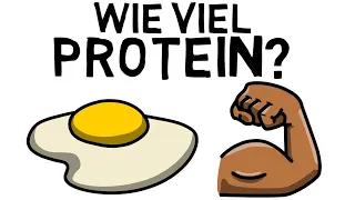 Wie viel Protein am Tag zum Muskelaufbau?