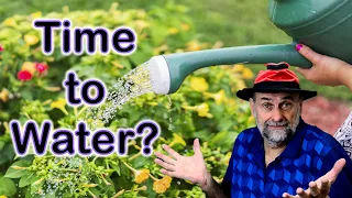 How Often Should I Water My Garden? ☔️🌦🌞 When to Water Plants?