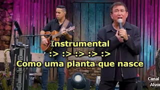 É Sempre Assim _ Amado Batista _ Karaokê (música original)