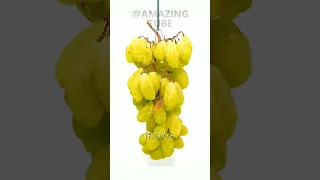 Grapes to Raisins -40Days Time lapse #timelapse