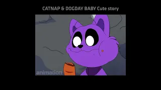 CATNAP & DOGDAY BABY Cute story?! | (Poppy Playtime 3 Animation)