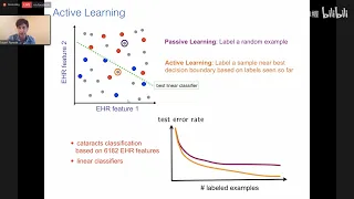 Nonparametric Active Learning with Kernels and Neural Networks, Robert Nowak, UWM