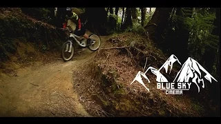 Oropi Grove | Downhill Mountain biking