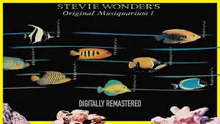 Stevie Wonder - Higher Ground (2000 Remastered)