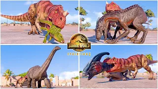Ceratosaurus VS All Carnivore & Herbivore Dinosaurs Killing Animations 🦖 Jurassic World Evolution 2