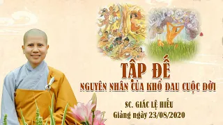 Tập đế: Nguyên nhân của khổ đau cuộc đời - SC. Giác Lệ Hiếu