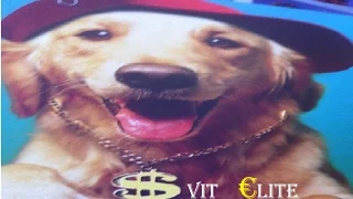 Svit Elite - Стиль собачки (Потап, Настя и Бьянка cover) [Official music video]