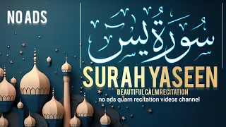 Surah Yasin (Yaseen) سورة يس | Relaxing heart touching voice | beautiful quran voice | Zikrullah TV