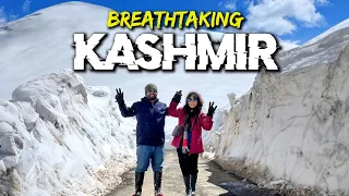 এমন শ্বাসরুদ্ধকর অভিজ্ঞতা আগে কখনো হয়নি!!! Best Day in Kashmir Tour | Snow in Summer