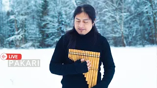 Pakari - Amazing Andean music