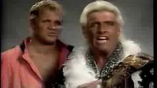 Ric Flair Mr. Perfect Wrestlemania 8 WWF Promo