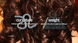 The Amazing Physics of Curly Hair