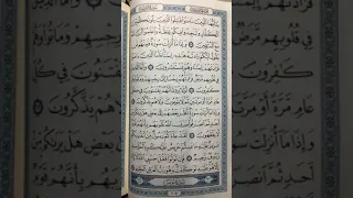 เริ่มเรียนอัลกุรอ่าน​ ​EP:1015 ซีซั่น​6​อ่านซูเราะห์ อัตเตาบะฮ์ อายะห์ที่ 123-125โดย รอชีดีน หมัดละ