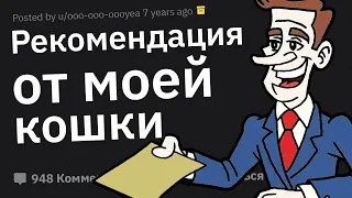 HR Менеджеры, Какую Тупость Люди Пишут в Своих Резюме?