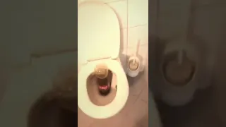 Coke + Mentos in toilet, What Happened Next???