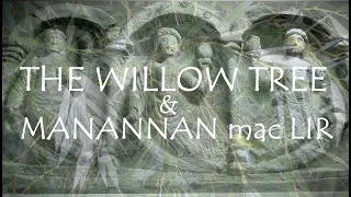 Around the Grove ~ Willow ~ 2024 ~ Manannan mac Lir