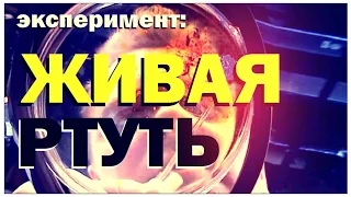 Галилео. Эксперимент. Живая ртуть