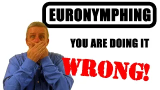 Five Mistakes When Euro Nymphing #fishing #flyfishing #euronymphing