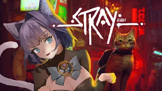 【Stray】I'm Cat | #1