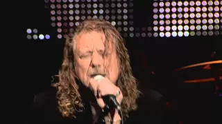 ROBERT PLANT BLACK DOG