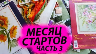 МЕСЯЦ СТАРТОВ ❤ часть 3 ❤ Вышивка крестом