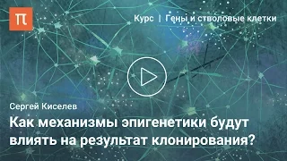 Эпигенетика и стволовые клетки — Сергей Киселев