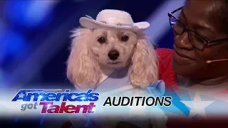 Mia Moore: Counting Canine's Act Adds Up for the Judges - America's Got Talent 2017