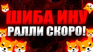 SHIBA - ВОТ ПОЧЕМУ РАЛЛИ ШИБА ИНУ УЖЕ НЕ ЗА ГОРАМИ!