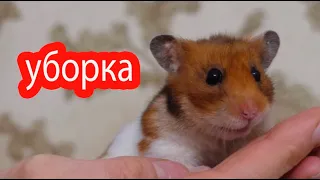 Уборка у хомяков и крыс