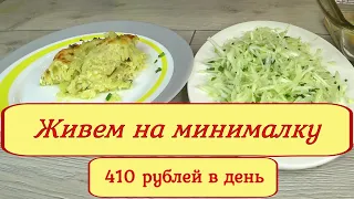 Живем на МИНИМАЛКУ! Когда ограничен БЮДЖЕТ, готовим  из  доступных продуктов! Меню на 2 дня! день 21