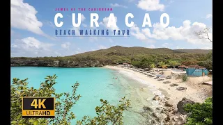 ⛱️🏖️☀️ Beaches of the Caribbean. Curacao