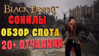 НЕРФ!!!. Обзор Сонил Хадум, БОЛЬШОЙ ФАРМ ОТЧАЯНИЯ (Black Desert)