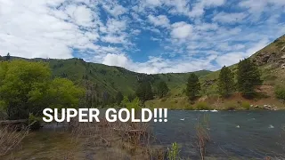 EPIC GOLD MINING! Highbanking for GOLD#sluicebox #goldmining #gold #grassrootsmining