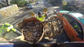 Yard Waste Collection Heavy Season