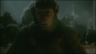 Caesar vs Koba fight  Apes together strong! Caesar weak!    Dawn of the Planet of the Apes 2014